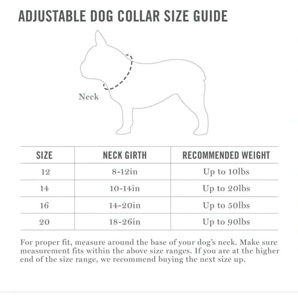 Aqua Martha Stewart Nylon Dog Collar 18-26”